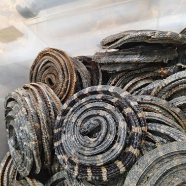 正品金钱白花蛇国产全剖金钱白花蛇