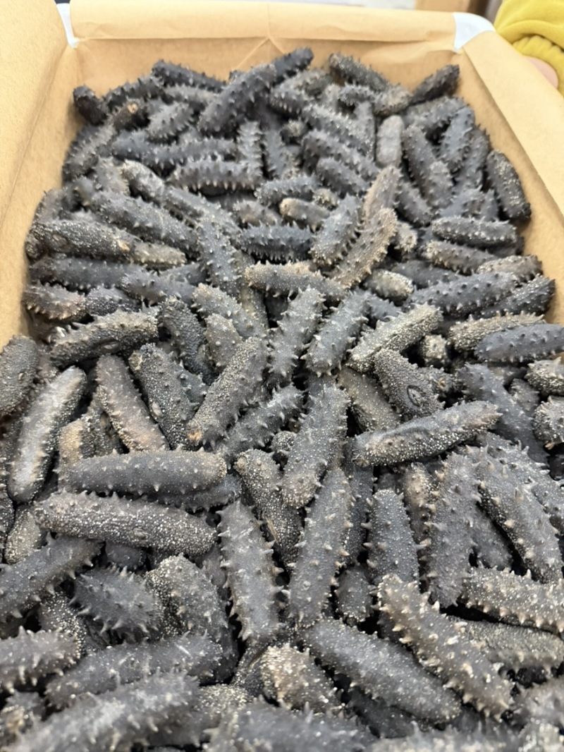 纯淡干海参厂家直销三年以上的辽刺参干海参批发出口发货量