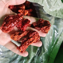 云南魔鬼辣椒涮涮辣工业辣椒