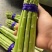 新鲜芦笋基地当天现挖农家自种精选大芦笋脆嫩爽口高山龙须菜