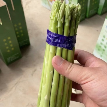 新鲜发货现采当季芦笋现摘头茬农家鲜嫩自种产地蔬菜芦笋新鲜