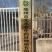 射干苗基地射干种苗，批发射干苗全国发货