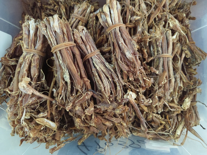 海狗肾进口大条狗肾地道药材优质价实品质保证药典标准