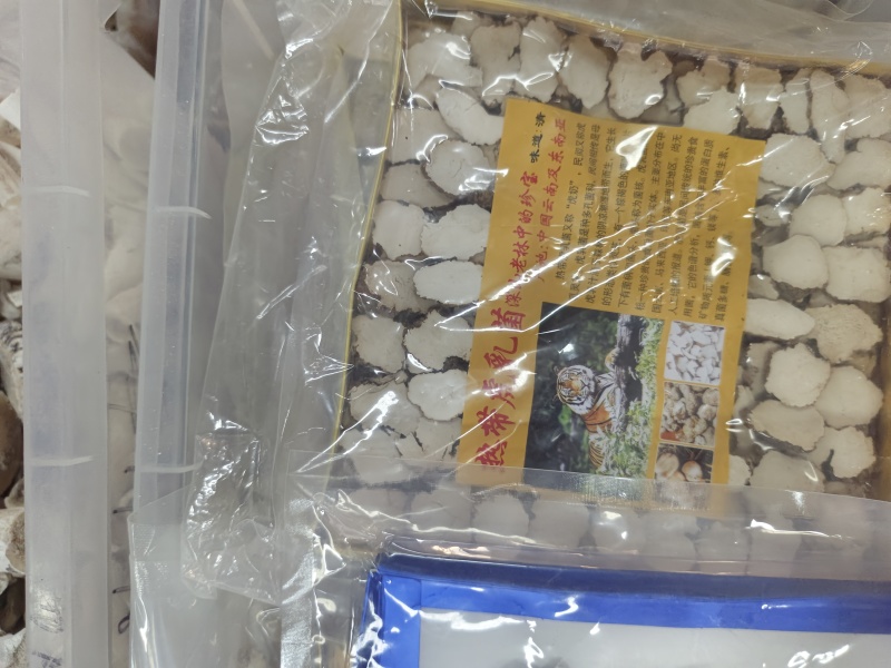 虎乳菌厂家发货品质保证量大从优