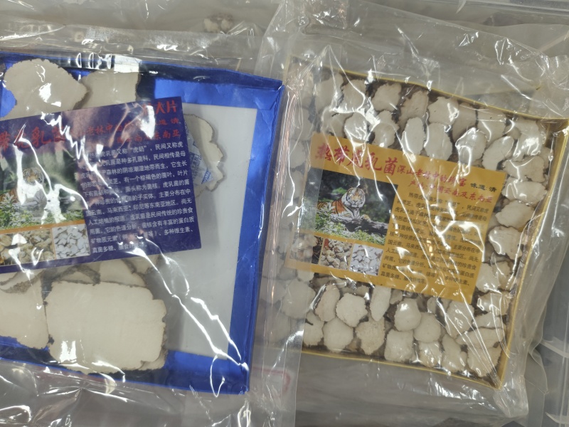 虎乳菌厂家发货品质保证量大从优