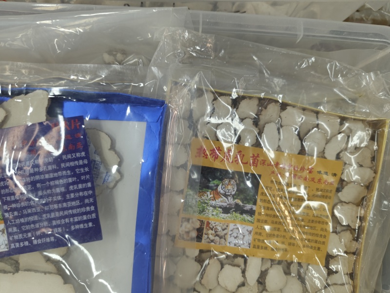 虎乳菌厂家发货品质保证量大从优