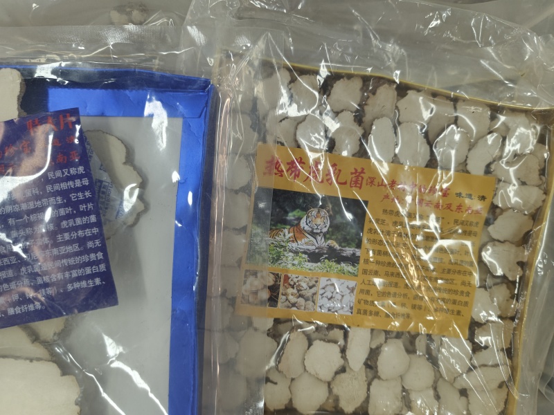 虎乳菌厂家发货品质保证量大从优