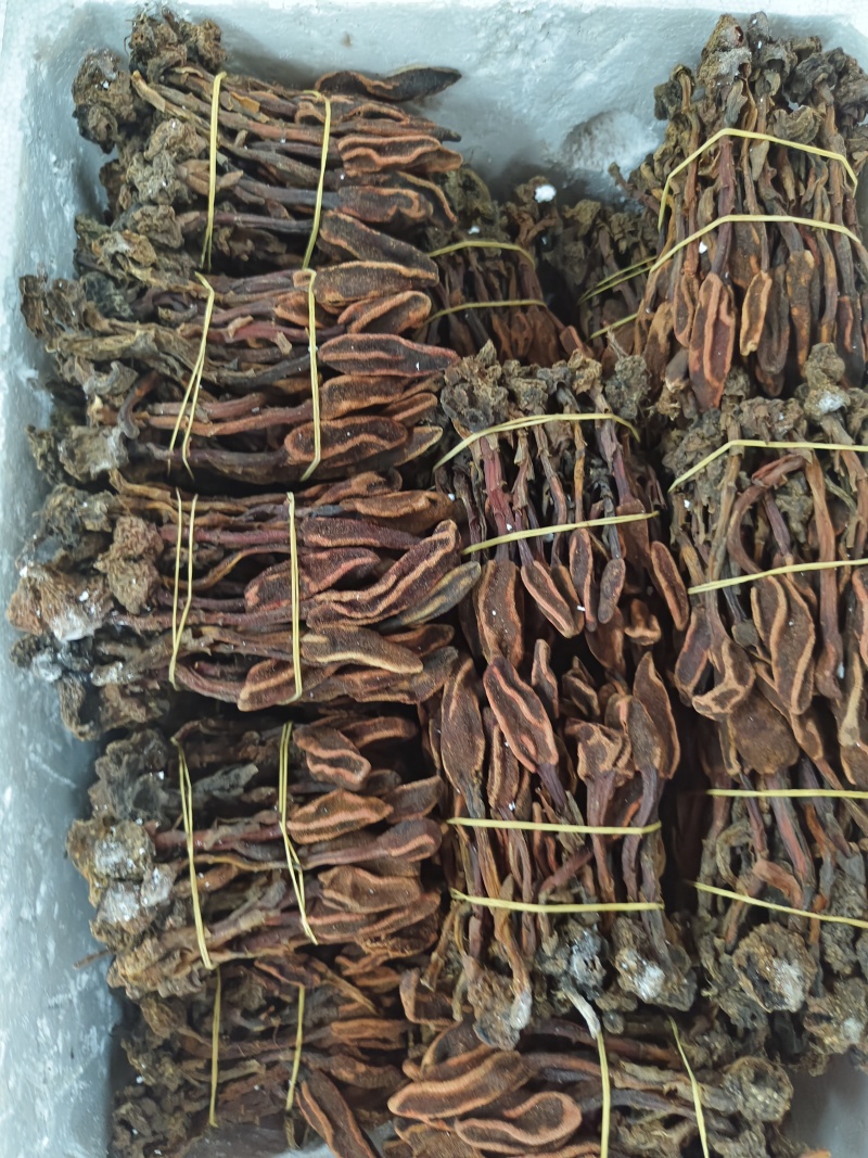 回春草三斤起发品质保证批量零售