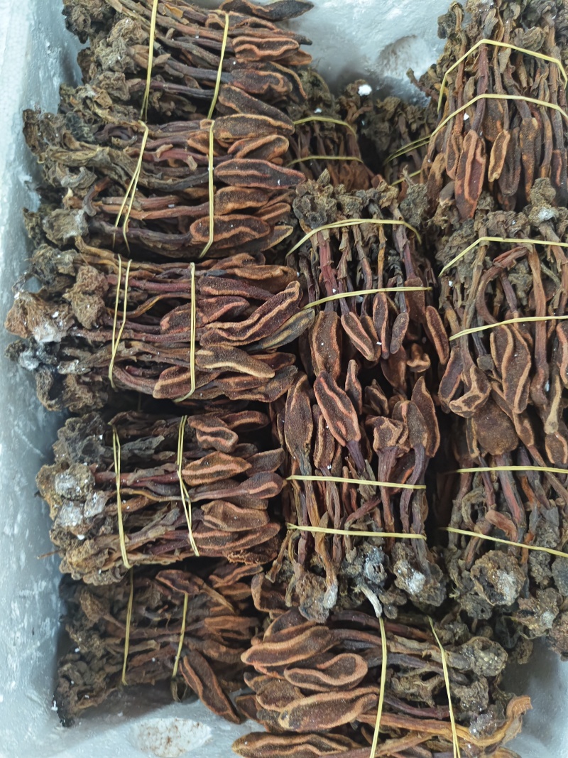 回春草三斤起发品质保证批量零售