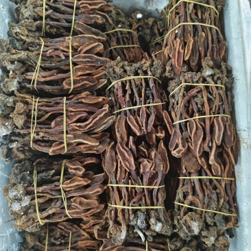 回春草三斤起发品质保证批量零售