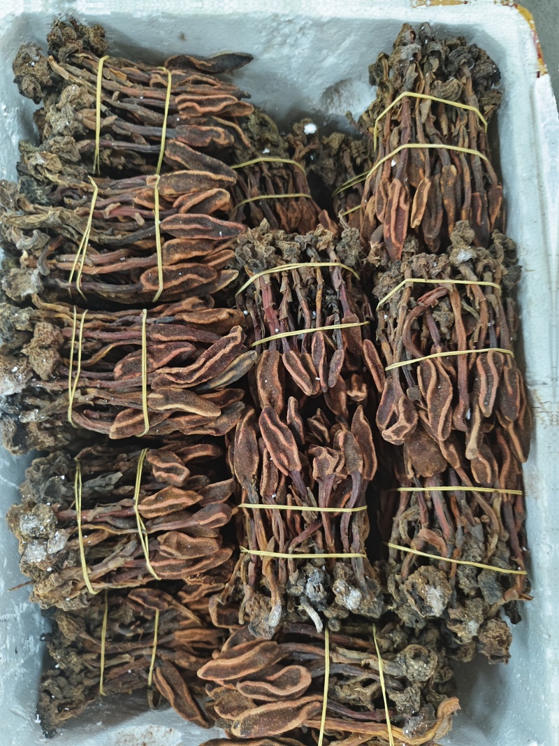 回春草三斤起发品质保证批量零售