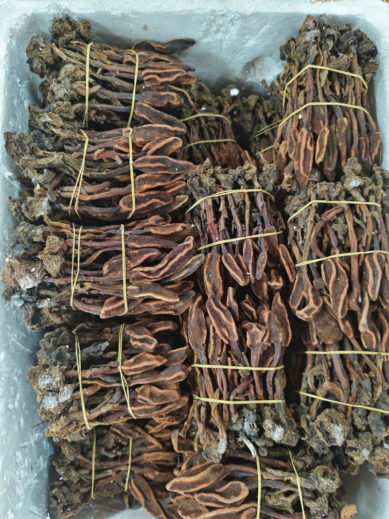 回春草三斤起发品质保证批量零售