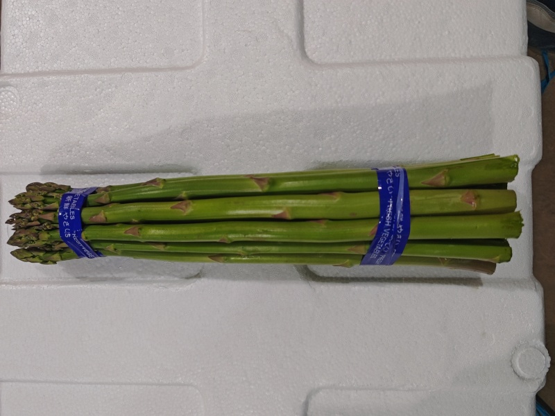 新鲜发货现采当季芦笋现摘头茬农家鲜嫩自种产地蔬菜芦笋新鲜