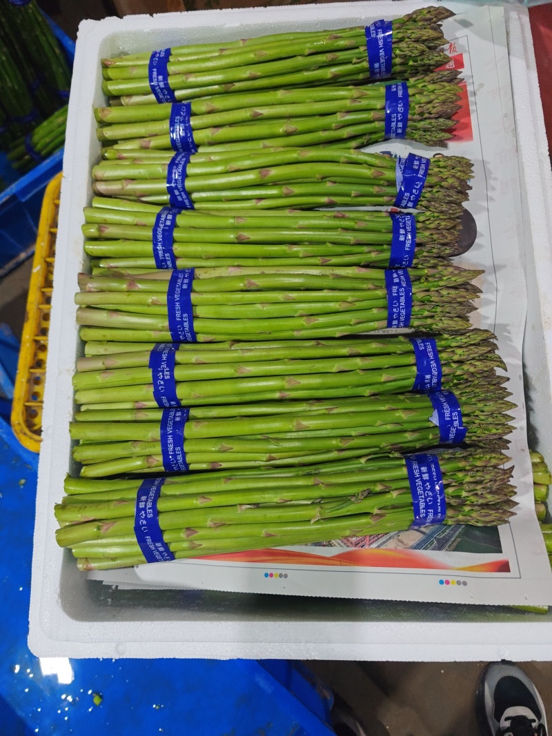 新鲜发货现采当季芦笋现摘头茬农家鲜嫩自种产地蔬菜芦笋新鲜