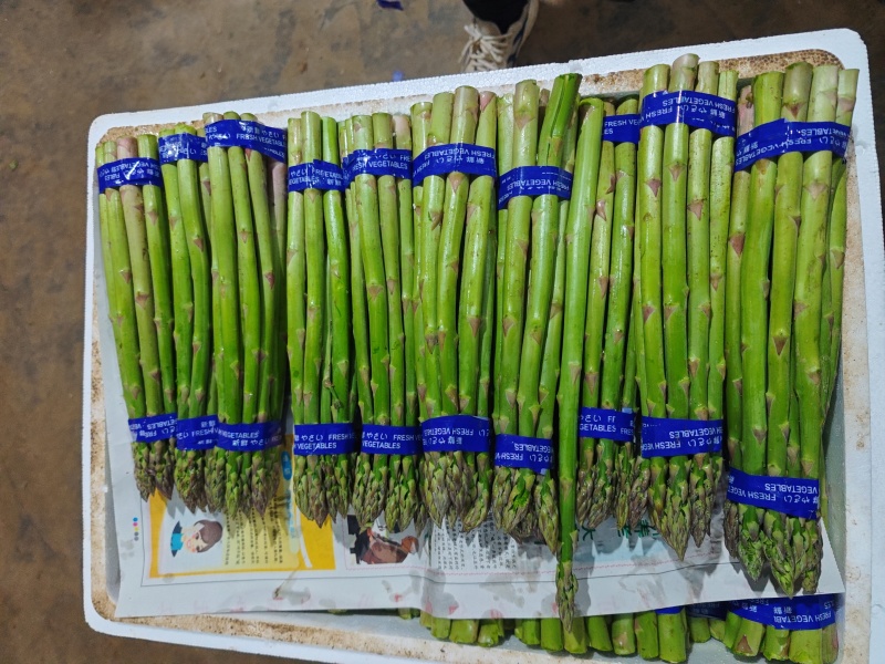 新鲜发货现采当季芦笋现摘头茬农家鲜嫩自种产地蔬菜芦笋新鲜
