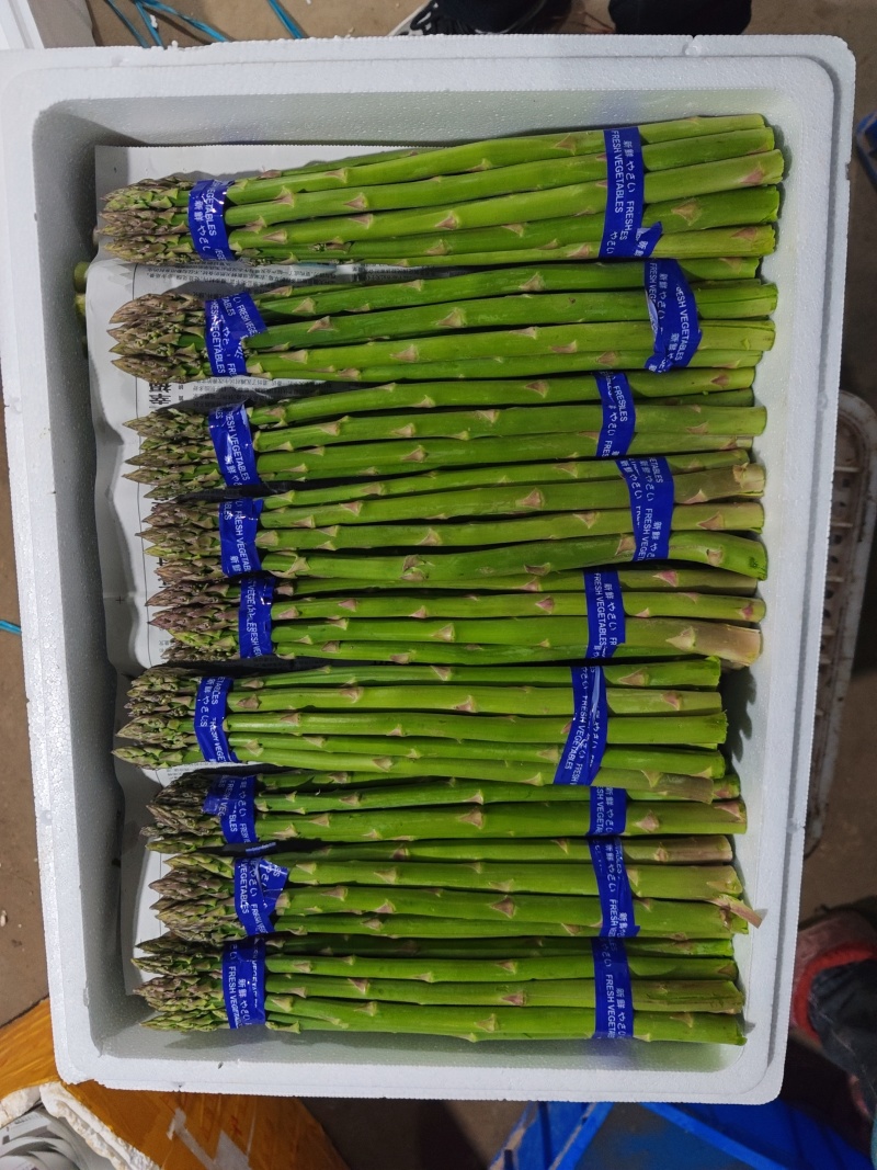 新鲜发货现采当季芦笋现摘头茬农家鲜嫩自种产地蔬菜芦笋新鲜