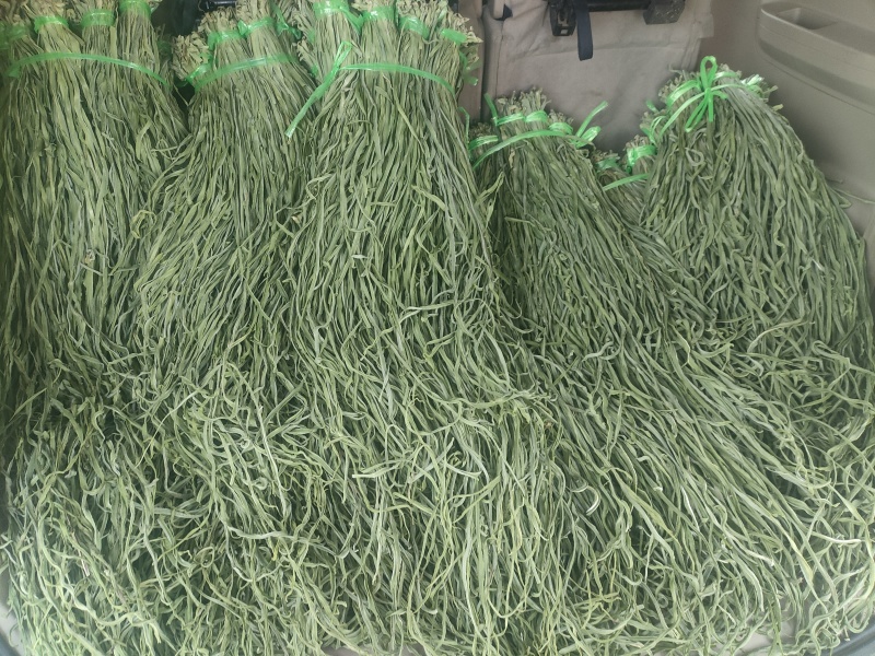好品质贡菜干