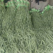 好品质贡菜干