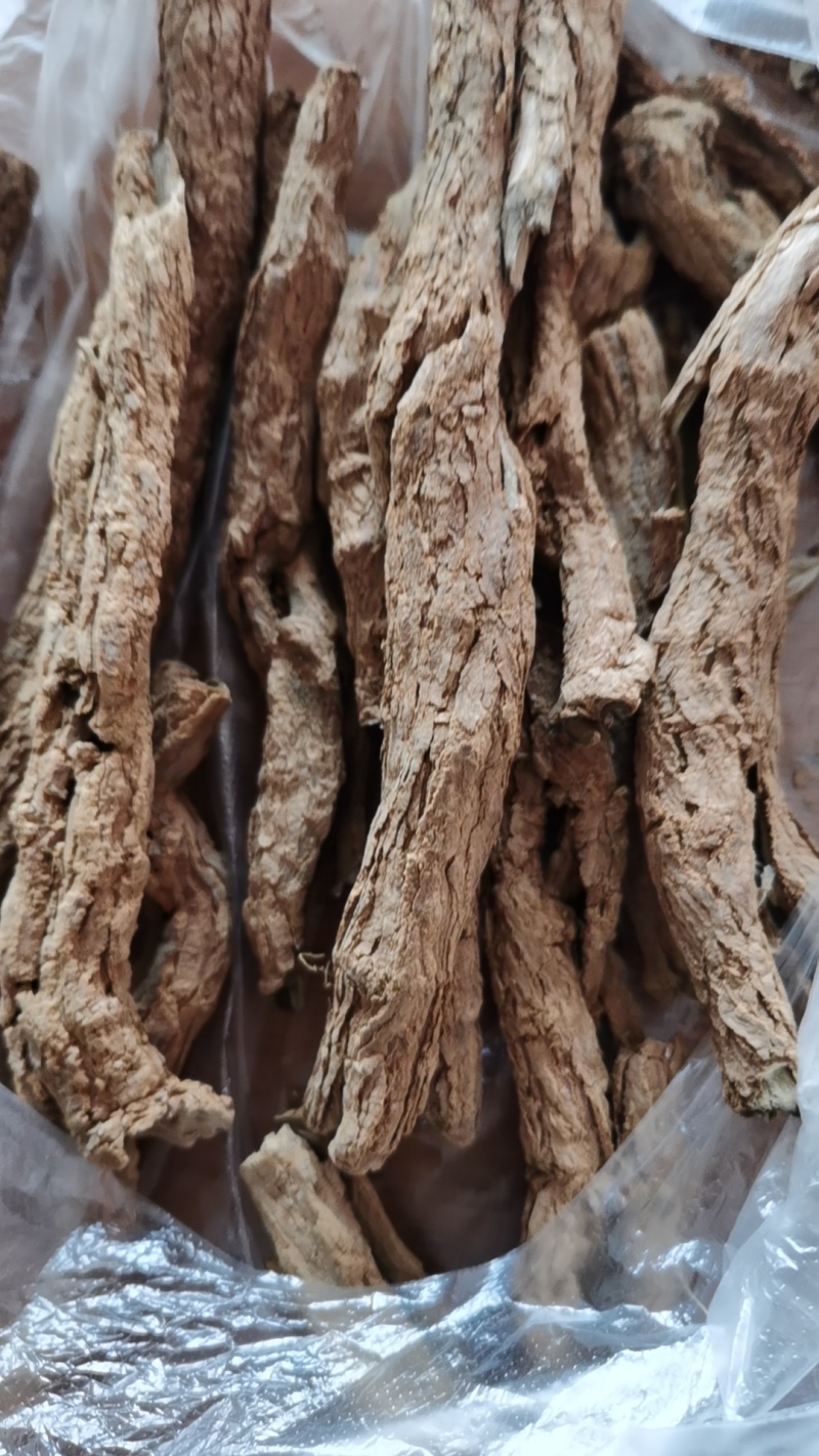 上锅蒸的地骨皮大条小条均有