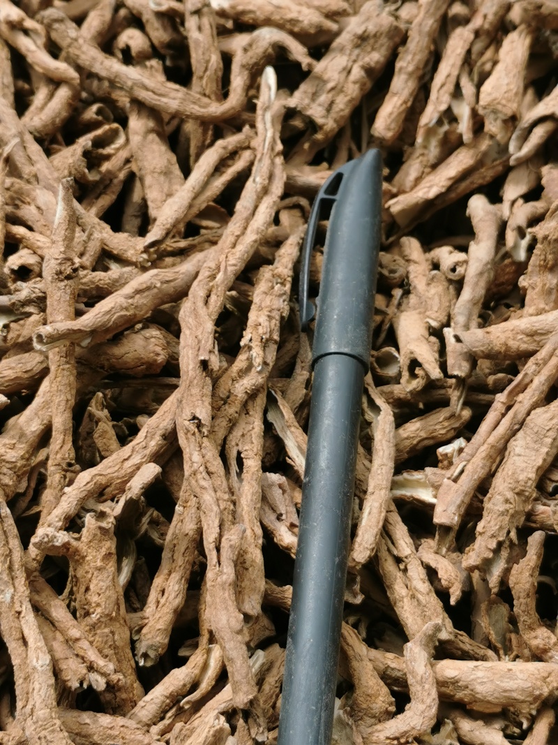 上锅蒸的地骨皮大条小条均有