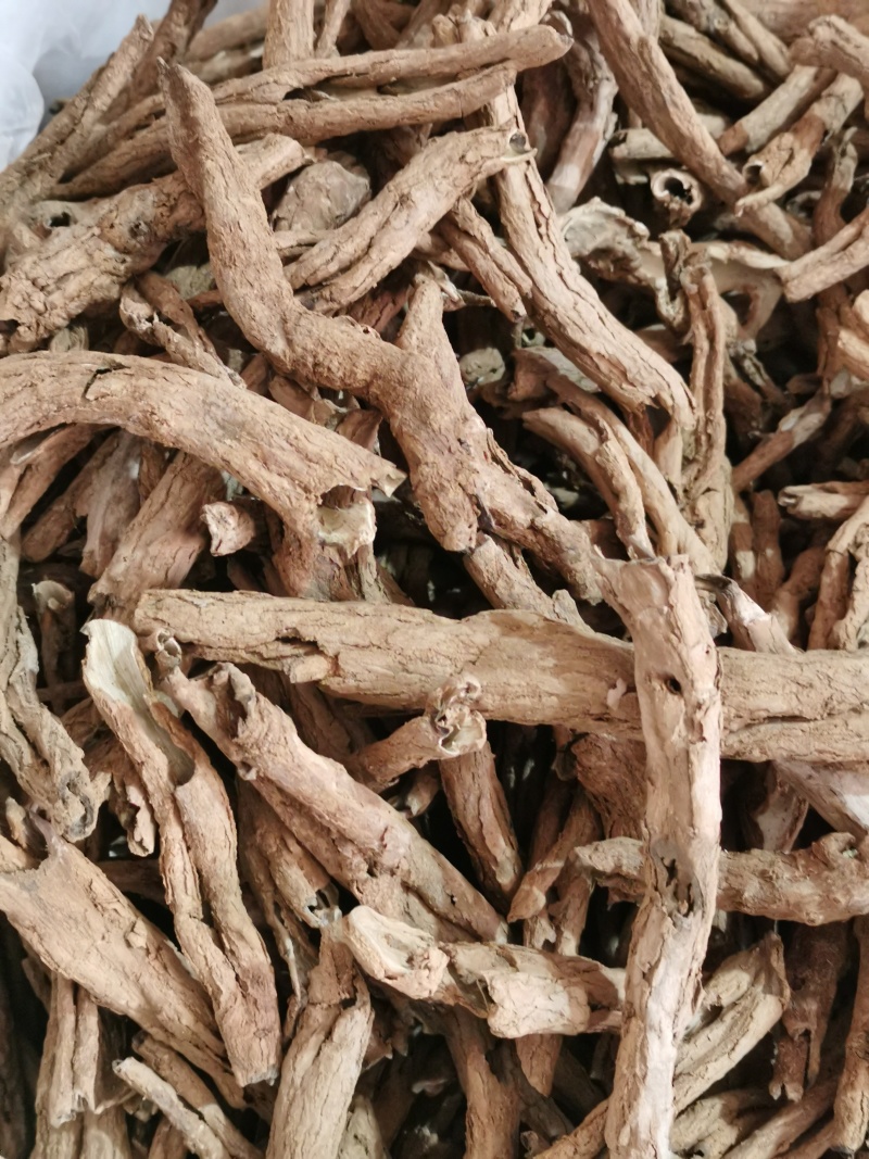 上锅蒸的地骨皮大条小条均有