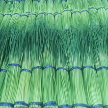红帽蒜薹，精品小把，**各大市场，商超，大型超市