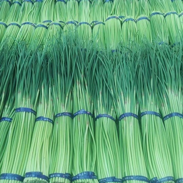 红帽蒜薹，精品小把，**各大市场，商超，大型超市