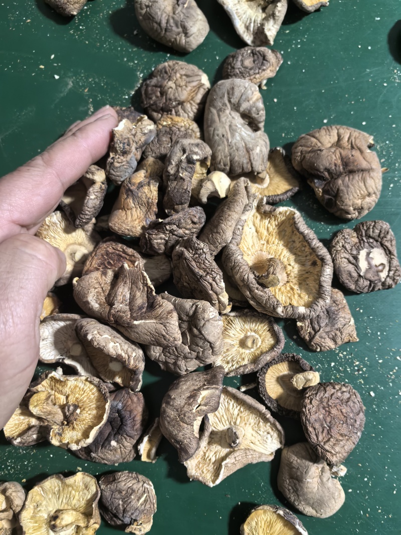 产地一手货源是个香菇拼多多卖包子店用
