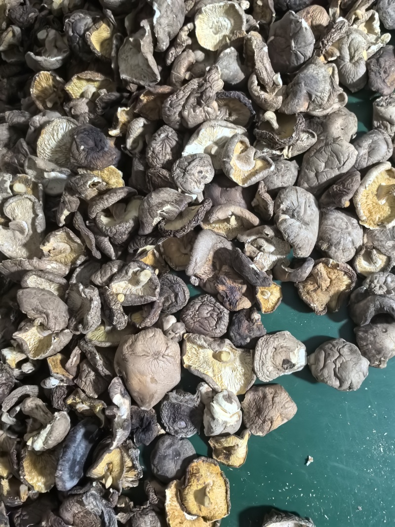 产地一手货源是个香菇拼多多卖包子店用