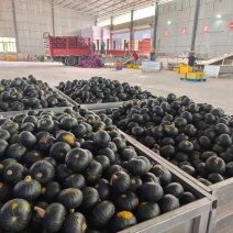 简阳仓精品贝贝南瓜爆粉香甜全年供应