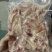 【熟食猪肉】猪耳丝白水猪耳丝全熟猪耳丝凉拌商用