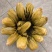 【泡菜】衢州冬菜