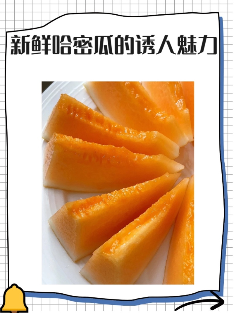 新疆哈密瓜产地发货，新鲜上市价格优惠欢迎购买