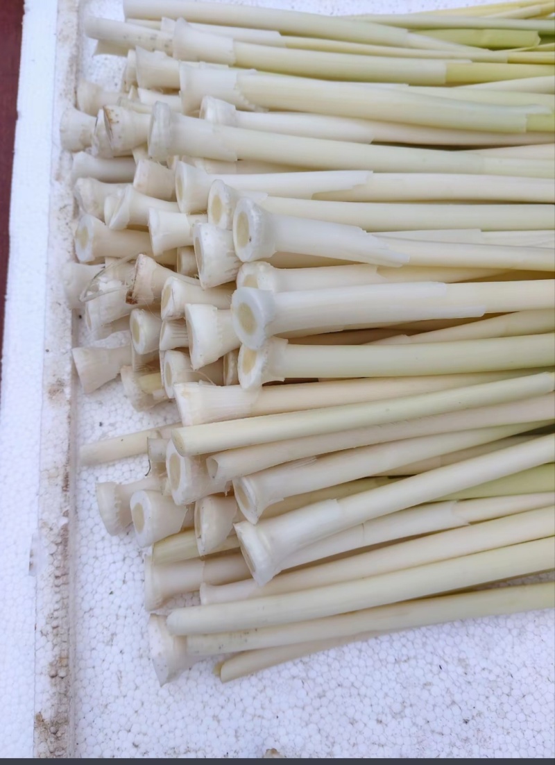 精品蒲菜