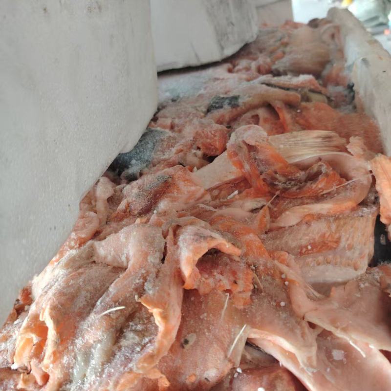 三文鱼碎肉