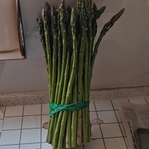 富硒芦笋批发，精品，通货。