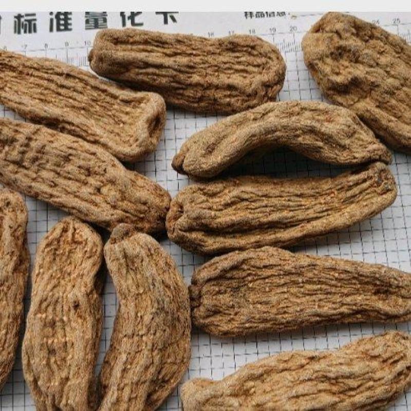 乌天麻黑天麻个选可打粉关书药业批发各种规格