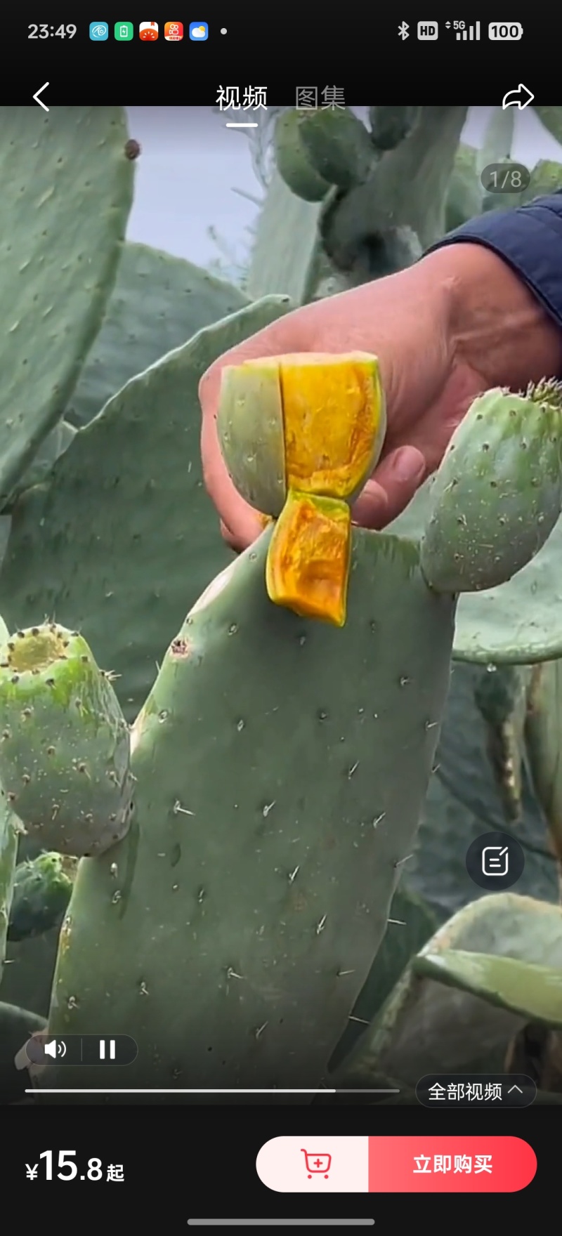 食用仙人掌果