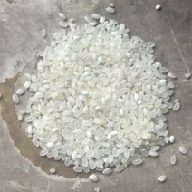 出售东北珍珠大米，有现货。
