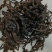 乌黑三蒸三晒梅干菜干净梅菜包子梅菜饼馅