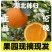 一件代发伦晚电商二级果整车代办湖北秭归鲜果供应