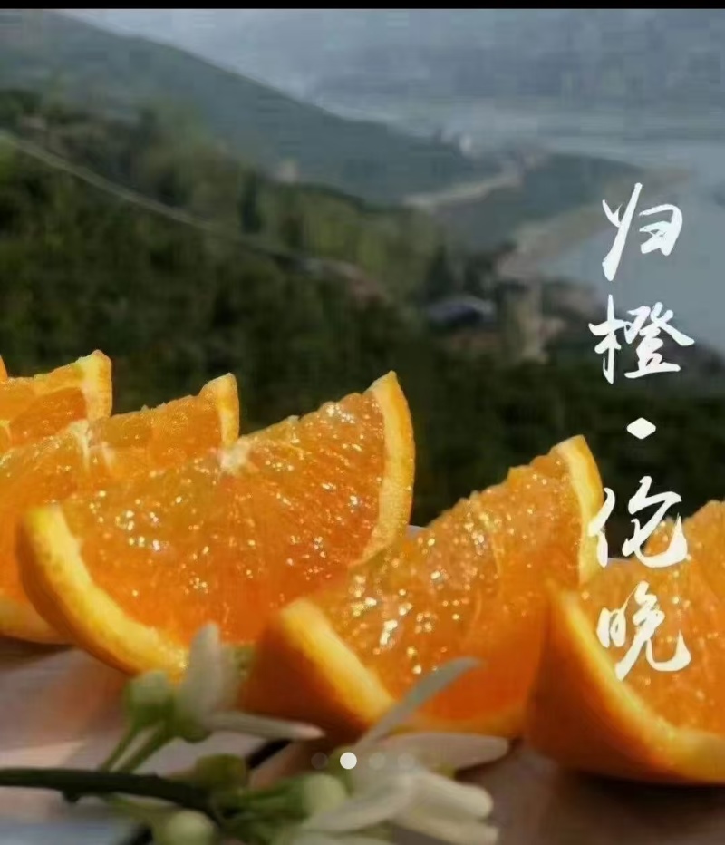 一件代发伦晚电商二级果整车代办湖北秭归鲜果供应