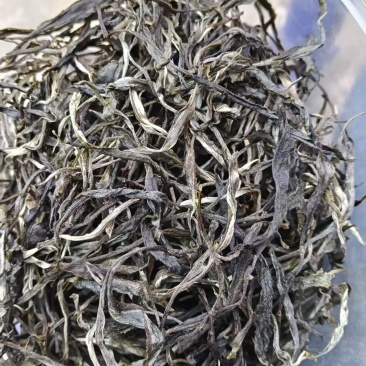古树茶