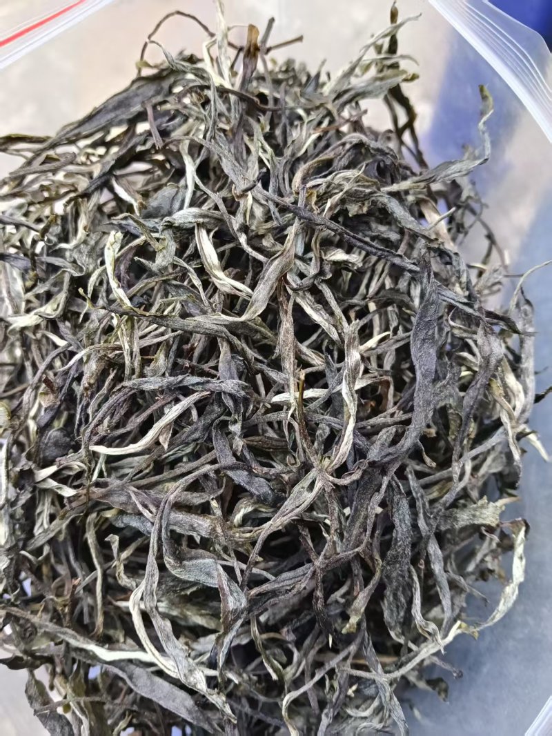 古树茶