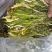 霸王花地摊电商批发剑花干干剑花霸王花干