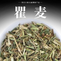 瞿麦中药材瞿无硫瞿麦竹节草冷背中药材正品保证