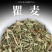 瞿麦中药材瞿无硫瞿麦竹节草冷背中药材正品保证