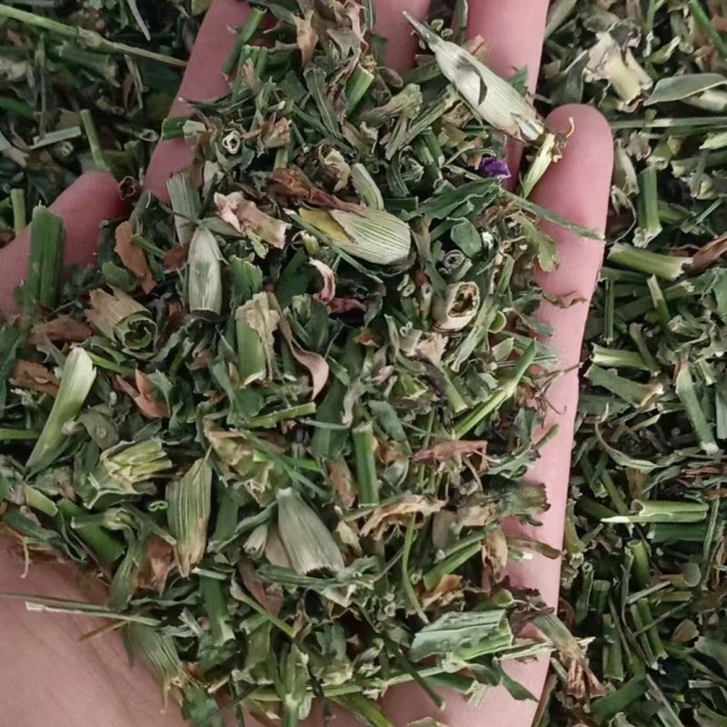 瞿麦中药材瞿无硫瞿麦竹节草冷背中药材正品保证