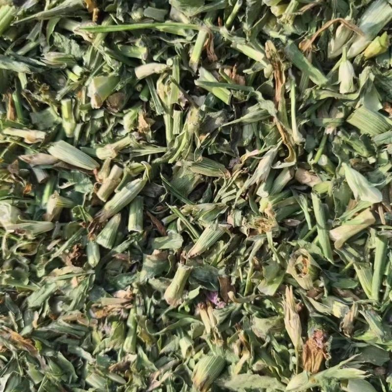 瞿麦中药材瞿无硫瞿麦竹节草冷背中药材正品保证
