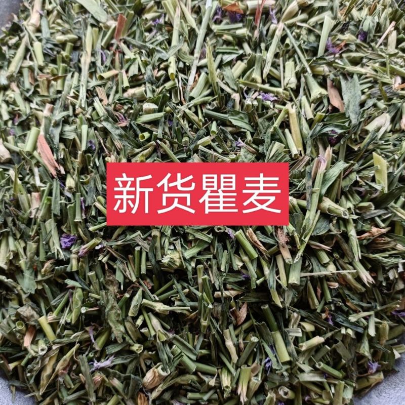 瞿麦中药材瞿无硫瞿麦竹节草冷背中药材正品保证